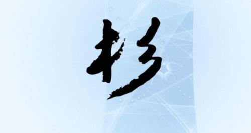 “杉”的部首是什么