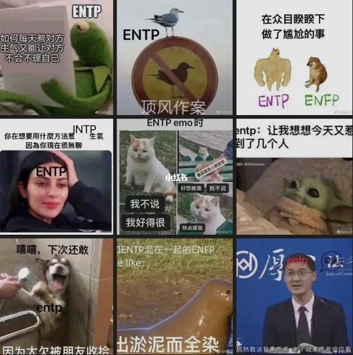istj和infj适合恋爱吗