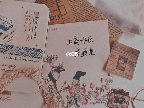 拍马路风景文案简单八字