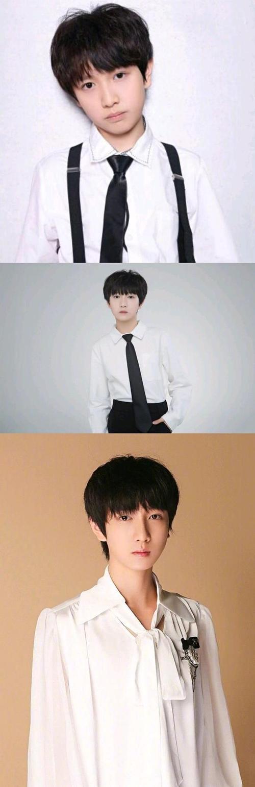 tf家族三代资料