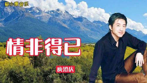 情非得已是指什么意思