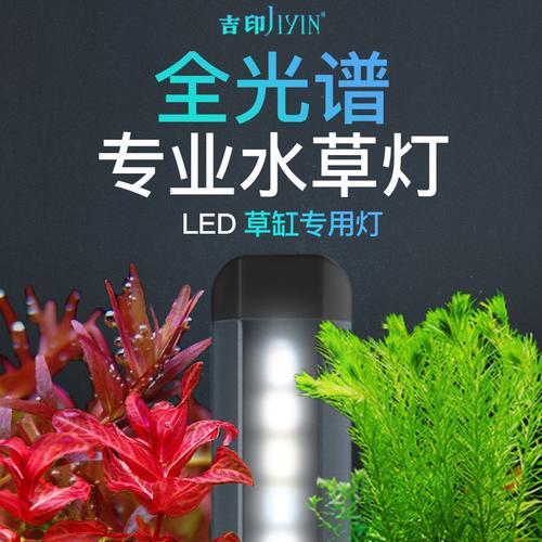养七彩可以用全光谱灯吗