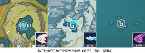 原神金翅甲鱼在几点刷新