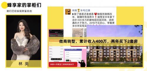 蜂享家降级怎么升掌柜
