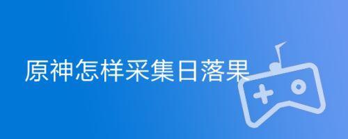 雷神果子咋采集