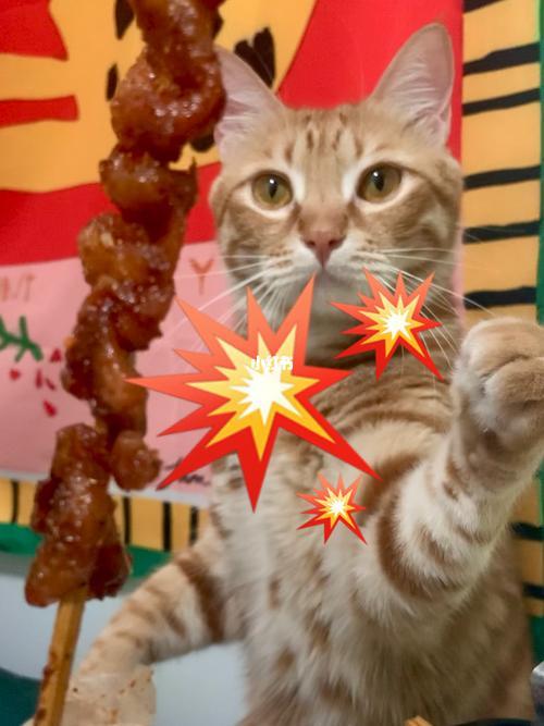 猫咪可以吃烤羊肉串吗