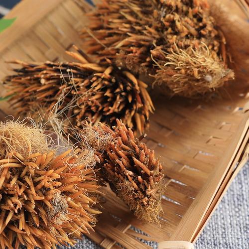 刺猬皮哪些人不能用