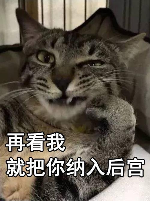 谁敢渣我是什么意思