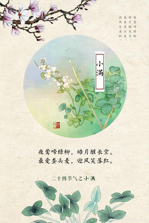 小满清丽而静,和润而远出自