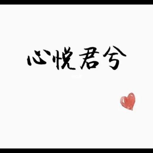略表寸心表达什么意思