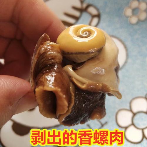 猫眼螺吃不完怎么保存