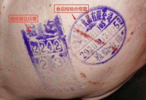 红章的猪肉好不好