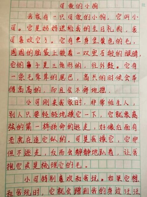 介绍一种事物是状物类的作文吗