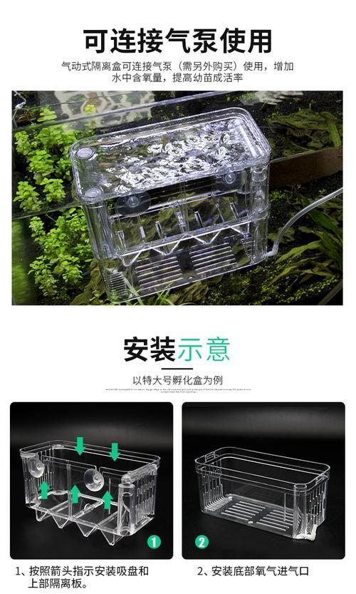孔雀鱼隔离盒用多大孔