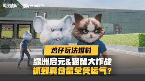 和平精英猫咪有几个颜色