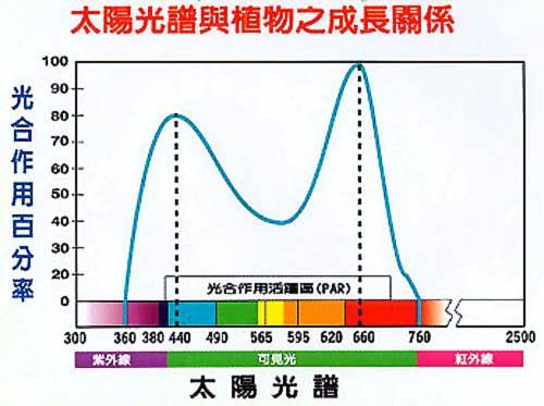 红光到紫光变化规律