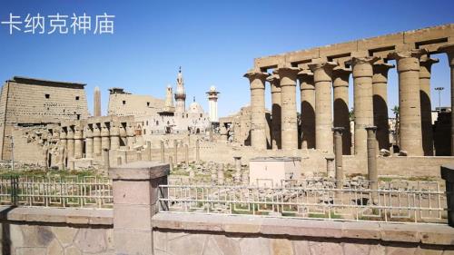 埃及主要信奉什么教