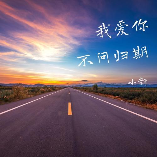 我爱你从不问归期是什么意思