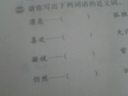 漂亮的反义词