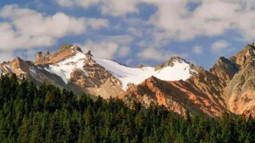 失我祁连山使我六畜不蕃息全诗