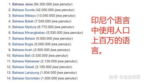 印度尼西亚的官方语言是什么