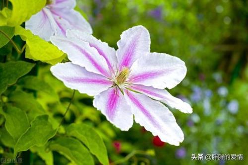 感概的意思是什么