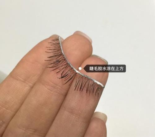 睫毛夹正确用法