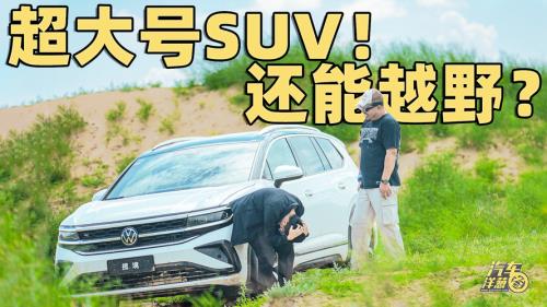 过野最后结局什么意思