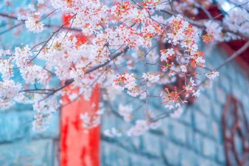 君遣之三月中的遣是什么意思
