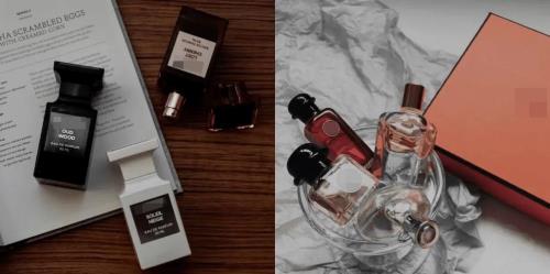 莱茵芳香和冷山铃兰哪个好闻