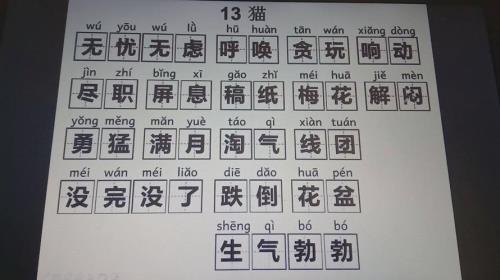 带可丽的词语
