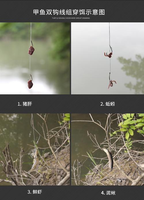 钓甲鱼用几号钩