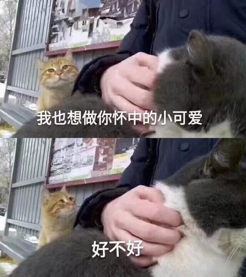 你是我的小可爱藏头诗