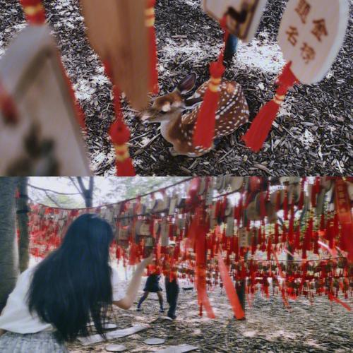 幸识是什么意思是什么