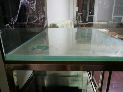 使用什么胶粘鱼缸