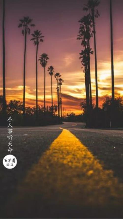 尽人事,听天命是什么意思