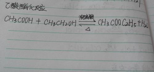 酯化反应的逆反应叫什么