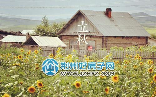 历史查询农历七月立秋的年份