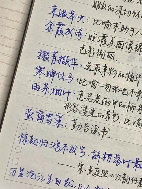 形容温柔的词有哪些