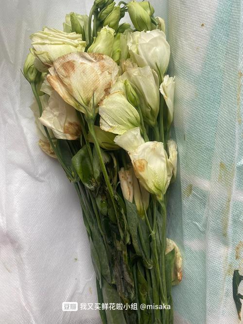 花棚烂了怎么办