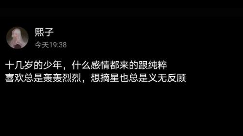 再无少年时类似句子