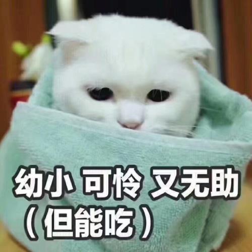 女生说无助可怜怎么回