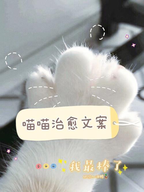 猫的逗比文案
