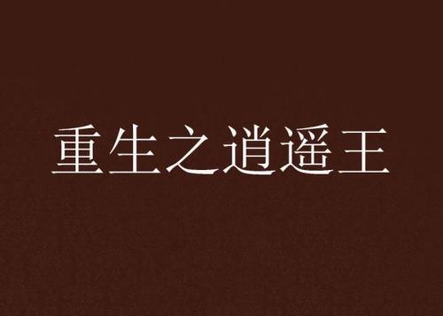 风灵和逍遥王的小说