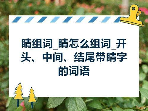 目组词有哪些