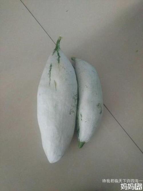 查理苏是什么瓜