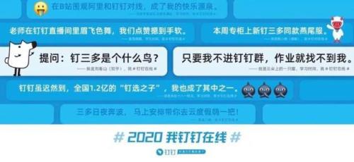 怎么跟钉三多聊天