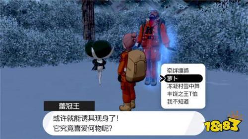 口袋妖怪剑盾怎么到王冠雪原