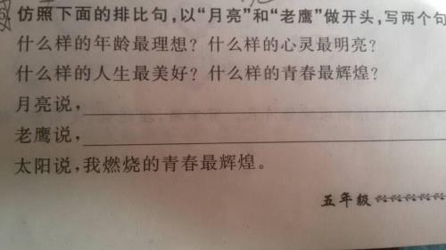 用我是我是我是仿写排比句