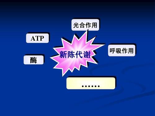 细胞代谢活动的主要场所
